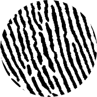 A round logo with a fingerprint